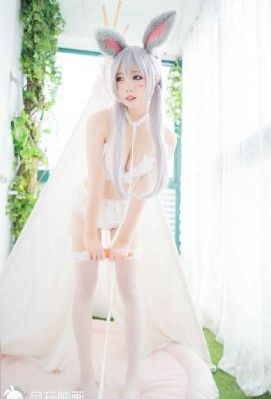 亚洲国产成人久久精品美女v-手机影院日本成人在线