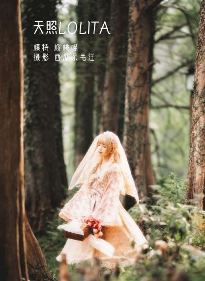 又爽又黄又粗又大免费视频-蓝光免费在线观看播放